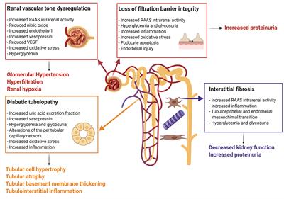 Acute Kidney Injury in Pediatric Diabetic Kidney Disease